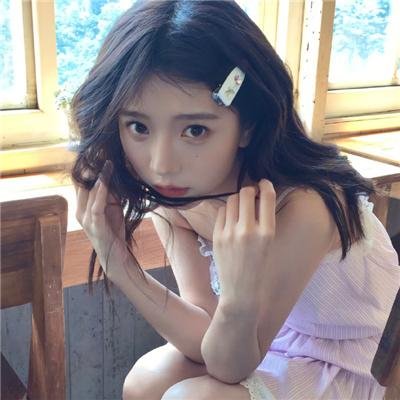 哈吉布基的森林冒险
